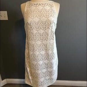 Ann Taylor LOFT crochet dress. Sz 4
